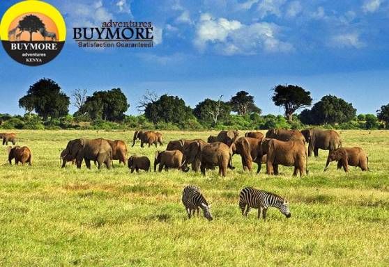 The National Park in Kenya