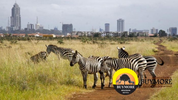 Nairobi day tour excursions